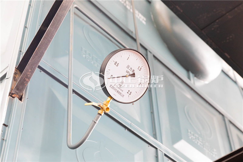 25噸天然氣導(dǎo)熱油鍋爐性價比怎么樣