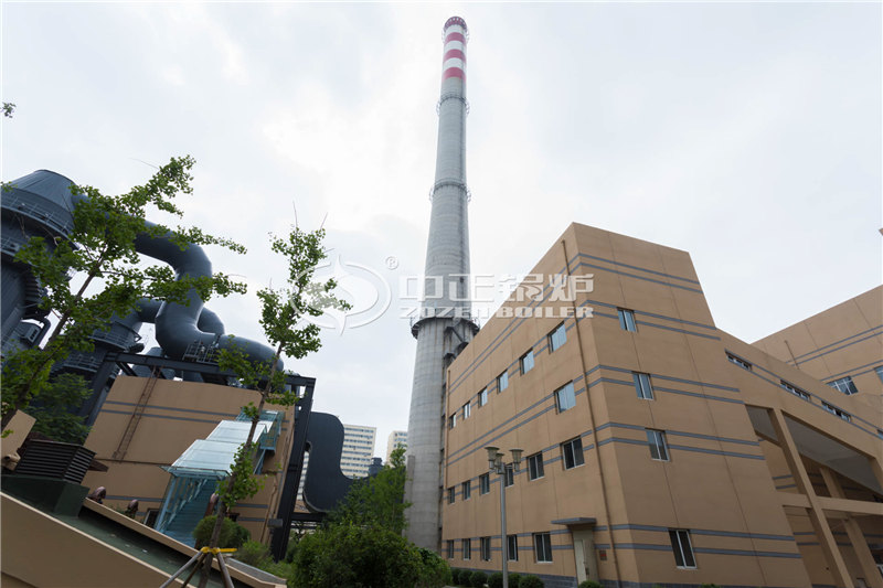 6T燃生物質(zhì)導(dǎo)熱油爐性?xún)r(jià)比價(jià)位