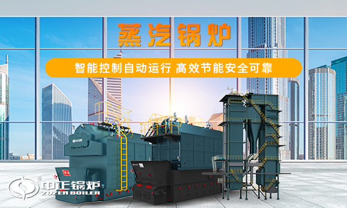 博世燃氣蒸汽鍋爐的參數(shù)