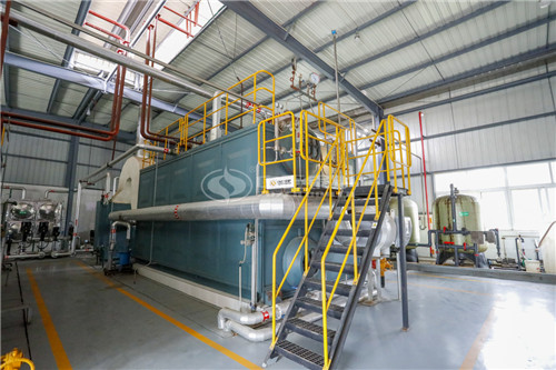 25T燃生物質(zhì)導(dǎo)熱油鍋爐多少錢(qián)