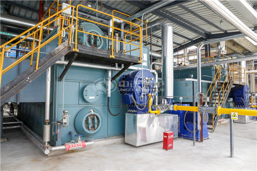 200萬大卡燃生物質(zhì)導熱油爐廠家