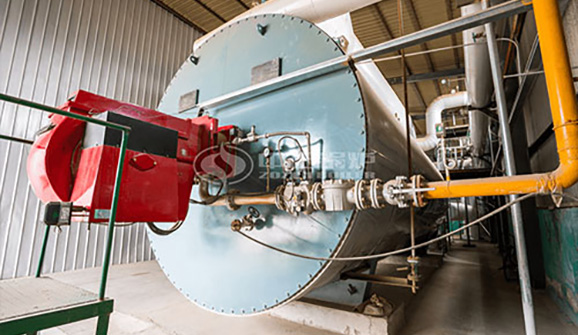 五噸生物質(zhì)鍋爐