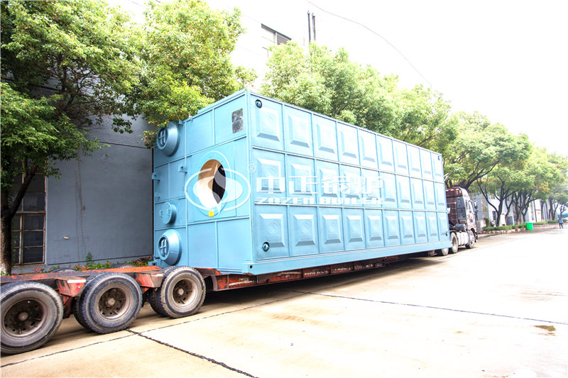 8噸燃生物質(zhì)導熱油爐廠